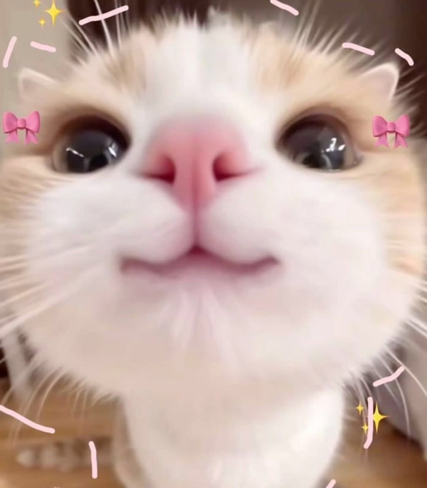 Her