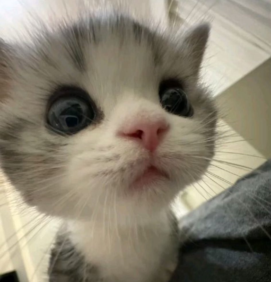 Him
